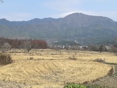 -塔川景区