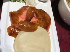 -碧丽宫大酒店(召稼楼店)