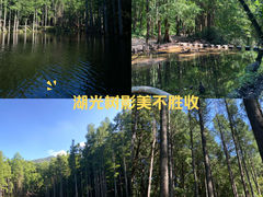 -波尔登森林公园