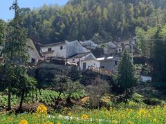 -新安江山水画廊风景区