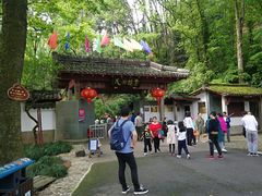 -灵栖洞天