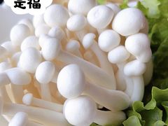 白玉菇-大匠工房古船木艺术餐厅·猪肚鸡专门店(长白仙岛店)
