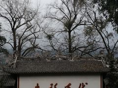 -都江堰景区