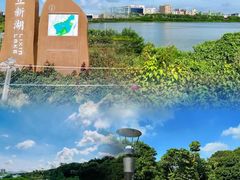 -立新湖公园