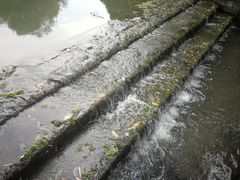 -洛阳市隋唐城遗址植物园
