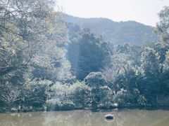 -深圳仙湖植物园