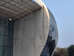 -广西体育中心-游泳馆