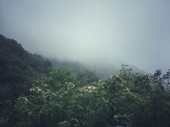 -终南山国家森林公园