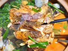 -九道菜有鸡鱼头(石鼓路店)