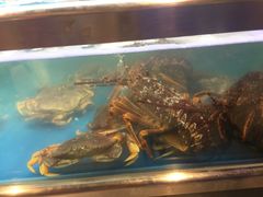 -盒马鲜生(大成店)