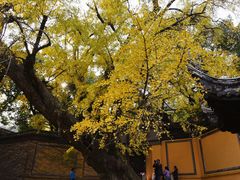-无锡惠山寺