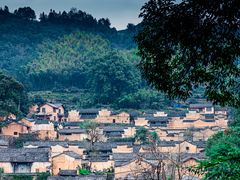 -杨家堂村