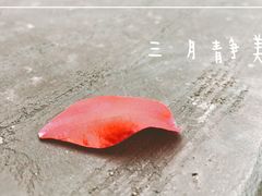 -圩墩遗址公园