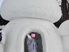 -沈阳奥体冰雪嘉年华