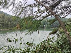-四明山国家森林公园