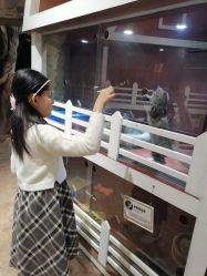 -宝燕乐园(闵行旗舰店)