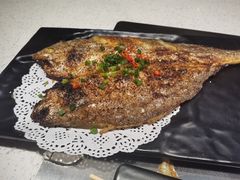 -九府羊·鲜羊火锅·烤串(新华路店)