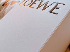 -LOEWE罗意威(北京SKP女装店(一层))