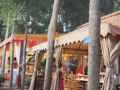 -二荆条·蜀鲜汇城市森林火锅