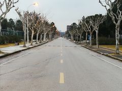 -同济大学(嘉定校区)