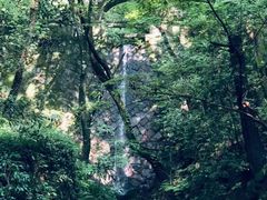 -宁波市保国寺古建筑博物馆