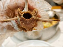 -懂羊帝·羊蝎子·北京菜(小关店)