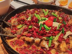 -老板恋上鱼(恒隆广场店)
