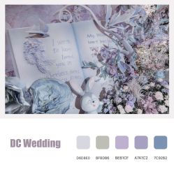 -DC大蔡婚礼策划(李公堤店)
