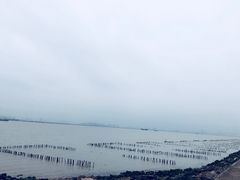 -海鸥岛