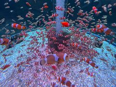 -海合安成都极地海洋公园