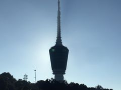 -梧桐山风景名胜区