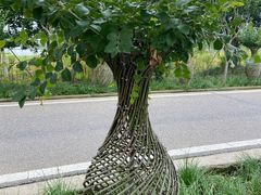 -武汉紫薇都市田园