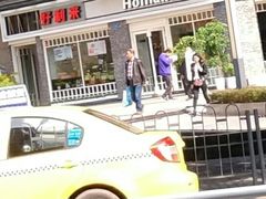 -蒲公英(五里店)