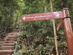 -武吉知马自然保护区