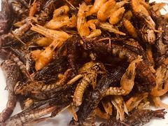 炸蚂蚱小河虾拼盘-老保定驴肉馆(云岗路店)