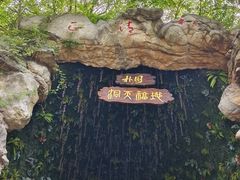 -朴园