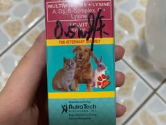 -北京观赏动物医院·24小时大型综合·猫专科·异宠专科
