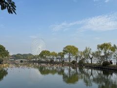 -无锡蠡湖国家湿地公园-蠡园