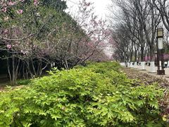 -洛阳市隋唐城遗址植物园