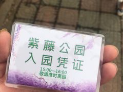 -嘉定紫藤园