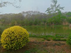 -白鹭湾湿地公园