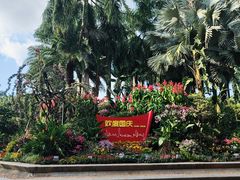 -莲花山公园