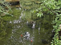 -济南大明湖景区