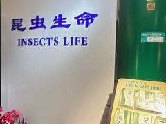 -上海昆虫博物馆