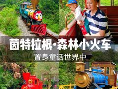 -深圳东部华侨城茵特拉根酒店