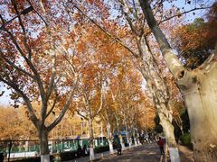 -华中科技大学百景园(三楼酒店)