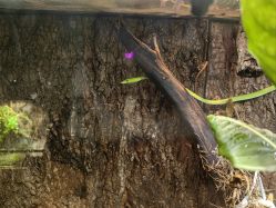 -酷嗒动物文化乐园(cutezoo西溪乐天城店)