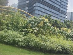 -麦当劳(广州新港东路第二分店)