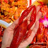 夏夜风味狂欢，解锁小龙虾新口味！