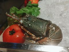 -常德武陵天济喜来登酒店-盛宴餐厅